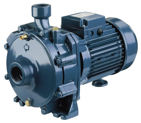 Twin impeller cast iron centrifugal pump CDA
